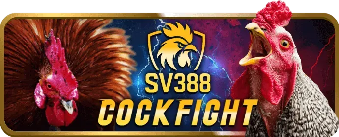Hướng dẫn chơi Slot Viebet trên điện thoại